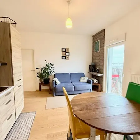 Beautiful 40 M With Terrace In Apartment *